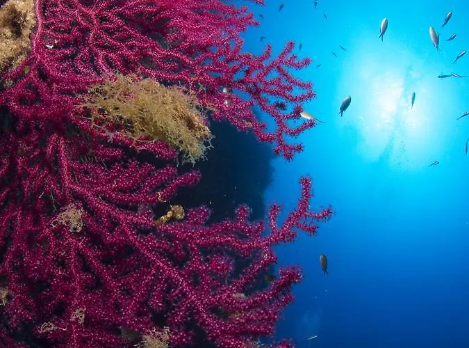 게스트하우스 Blu 3*