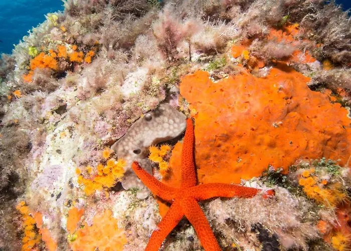 게스트하우스 Blu 3*